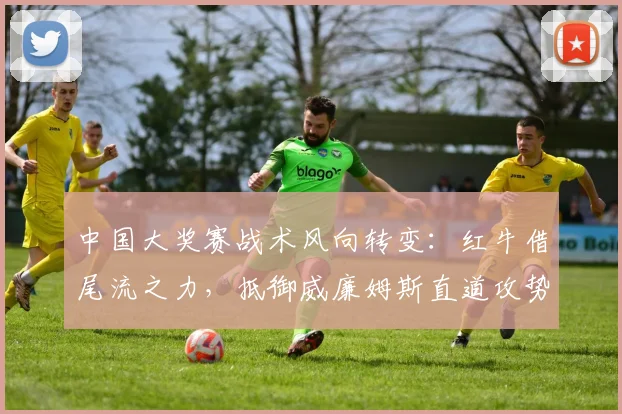中国大奖赛战术风向转变：红牛借尾流之力，抵御威廉姆斯直道攻势