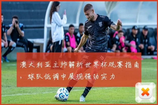 澳大利亚主帅解析世界杯观赛指南，球队低调中展现强劲实力