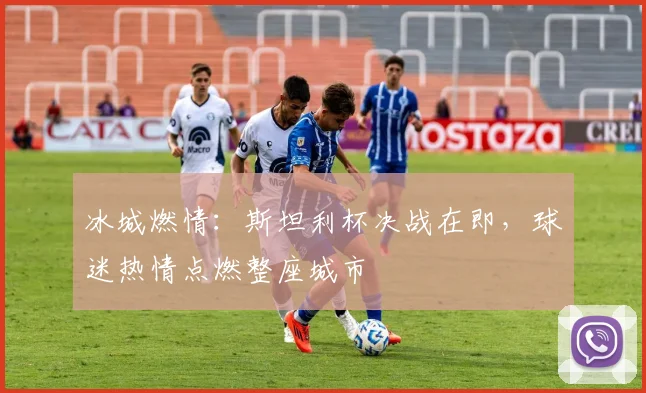 冰城燃情：斯坦利杯决战在即，球迷热情点燃整座城市