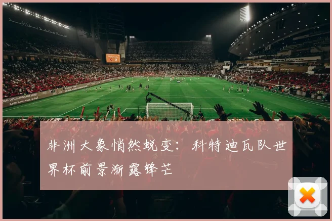 非洲大象悄然蜕变：科特迪瓦队世界杯前景渐露锋芒