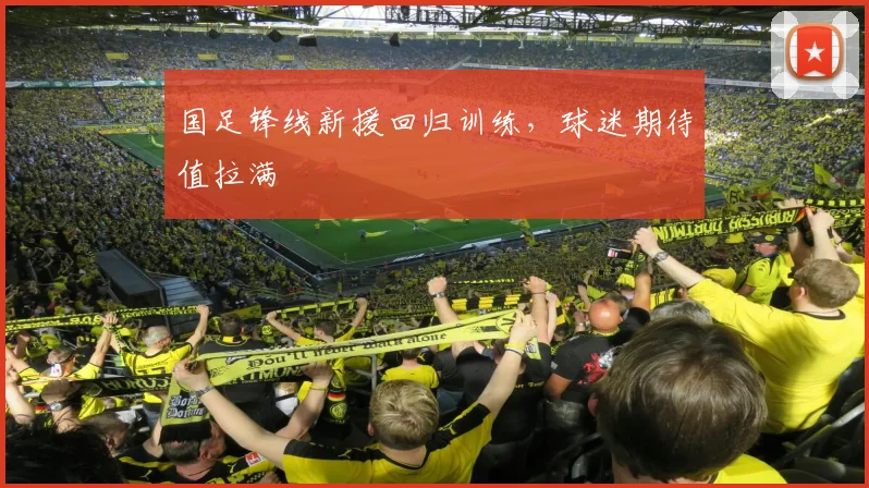 国足锋线新援回归训练，球迷期待值拉满