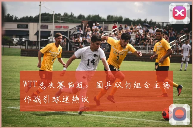 WTT总决赛临近，国乒双打组合主场作战引球迷热议
